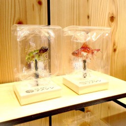 Ιαπωνικά γλειφιτζούρια εδώδιμα έργα τέχνης [Photo]