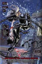 dc-the-new-52-catwoman-no-1-04