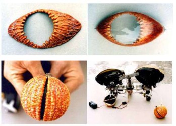 Star Wars: 96 ανέκδοτες φωτογραφίες Star Wars: ανέκδοτες φωτογραφίες