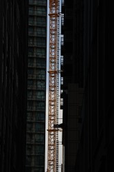 Sigma 100-400mm F5-6.3 DG OS HSM: Δείγματα φωτογραφιών Sigma 100-400mm F5-6.3 DG OS HSM: Δείγματα φωτογραφίας