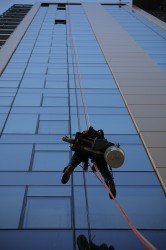 Sigma 100-400mm F5-6.3 DG OS HSM: Δείγματα φωτογραφιών Sigma 100-400mm F5-6.3 DG OS HSM: Δείγματα φωτογραφίας