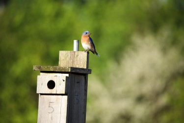 Sigma 100-400mm F5-6.3 DG OS HSM: Δείγματα φωτογραφιών Sigma 100-400mm F5-6.3 DG OS HSM: Δείγματα φωτογραφίας