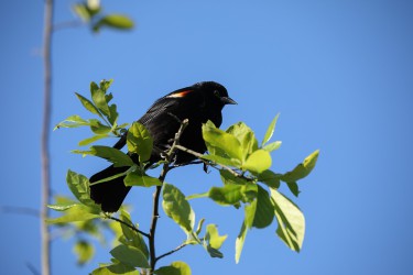 Sigma 100-400mm F5-6.3 DG OS HSM: Δείγματα φωτογραφιών Sigma 100-400mm F5-6.3 DG OS HSM: Δείγματα φωτογραφίας