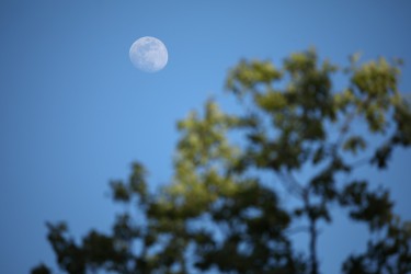 Sigma 100-400mm F5-6.3 DG OS HSM: Δείγματα φωτογραφιών Sigma 100-400mm F5-6.3 DG OS HSM: Δείγματα φωτογραφίας